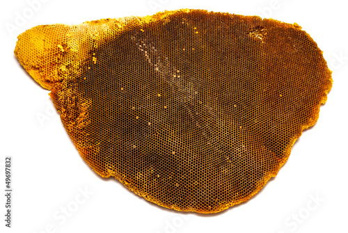 Photo: Great beehive Great beehive