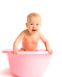 baby in a pink tub for bathing isolated