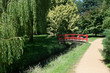 Secluded Path