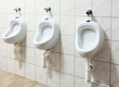 Tree urinal in public toilet