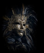luxurious venetian mask isolated on black