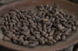 Kakaobohnen in Schale