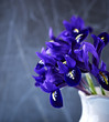 Spring iris flowers in a vase