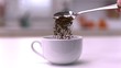 Pouring instant coffee from teaspoon into a white cup