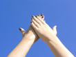 Hands to the sky