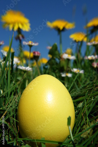 Photo: easter easter