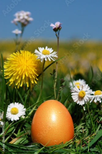 Photo: easter easter