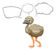 A small ostrich