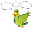 A green bird