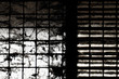 Old windows with cobwebs