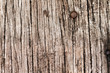 Wood texture