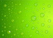 Gouttes sur fond vert pomme
