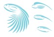 Vector: Blue fish icons Blue fish icons