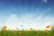 Illustration: Frühlingswiese Hintergrund Frühlingswiese Hintergrund