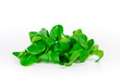 Feldsalat