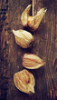 Four physalis on old wooden background