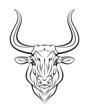 Bull head