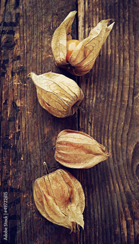 Photo: Four physalis on old wooden background Four physalis on old wooden background