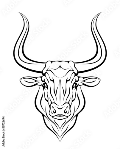 Vector: Bull head Bull head