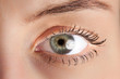 Macro photo of a female eye 