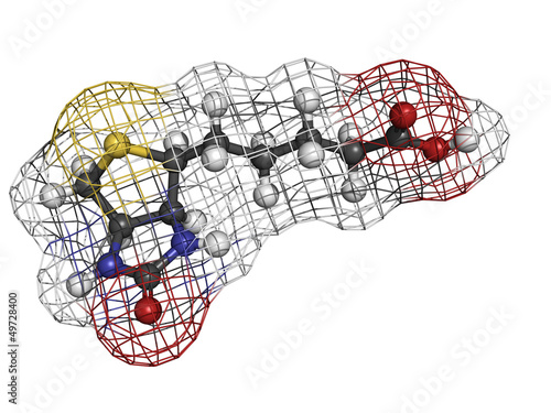 Photo: Vitamin B7 (biotin) molecule Vitamin B7 (biotin) molecule