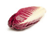 Foto: Radicchio fresco Radicchio fresco