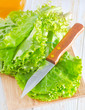 fresh salad