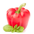 Sweet red pepper and basil leaves still life