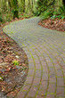 Mossy curved brick path