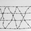 Barbed wire