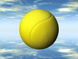 the yellow tennis ball