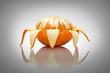 A cheerful spider.