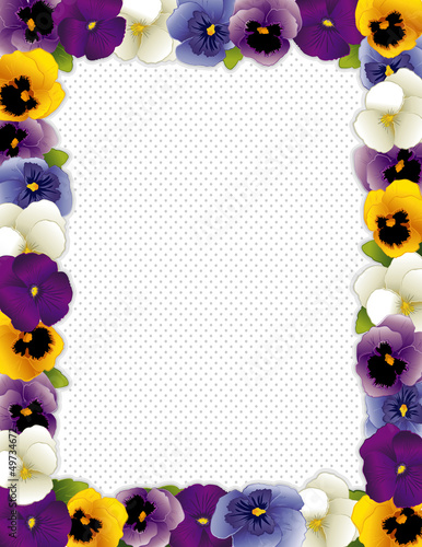 Illustration: Pansy Flower Frame, Violas, polka dot background, copy space Pansy Flower Frame, Violas, polka dot background, copy space