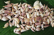 Photo: Garlic Garlic