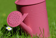 watering can