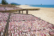 Photo: Dried squid Dried squid