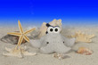 Seesterne,Muscheln,Unterwasser - Starfish,Seashell,Underwater