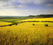 countryside