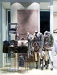 boutique display window