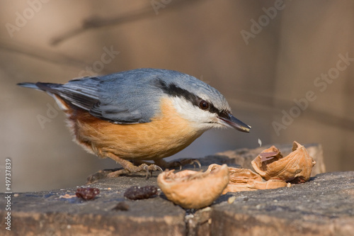 Photo: Kleiber Kleiber