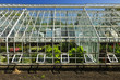 Greenhouse