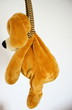 suicide par pendaison