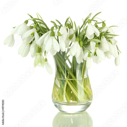 Photo: Bouquet of snowdrop flowers in glass vase, isolated on white Bouquet of snowdrop flowers in glass vase, isolated on white