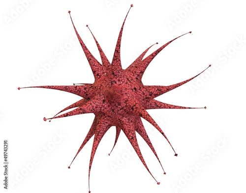 Illustration: Virus rojo Virus rojo