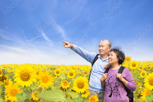 Photo: happy senior couple standing in the sunflower garden happy senior couple standing in the sunflower garden