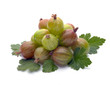 green gooseberries