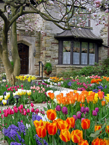 Photo: front yard with spring flowers front yard with spring flowers