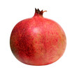 Photo: red pomegranate isolated red pomegranate isolated