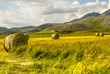 Landscape of Piano di Castelluccio