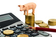 Schwein und Taschenrechner